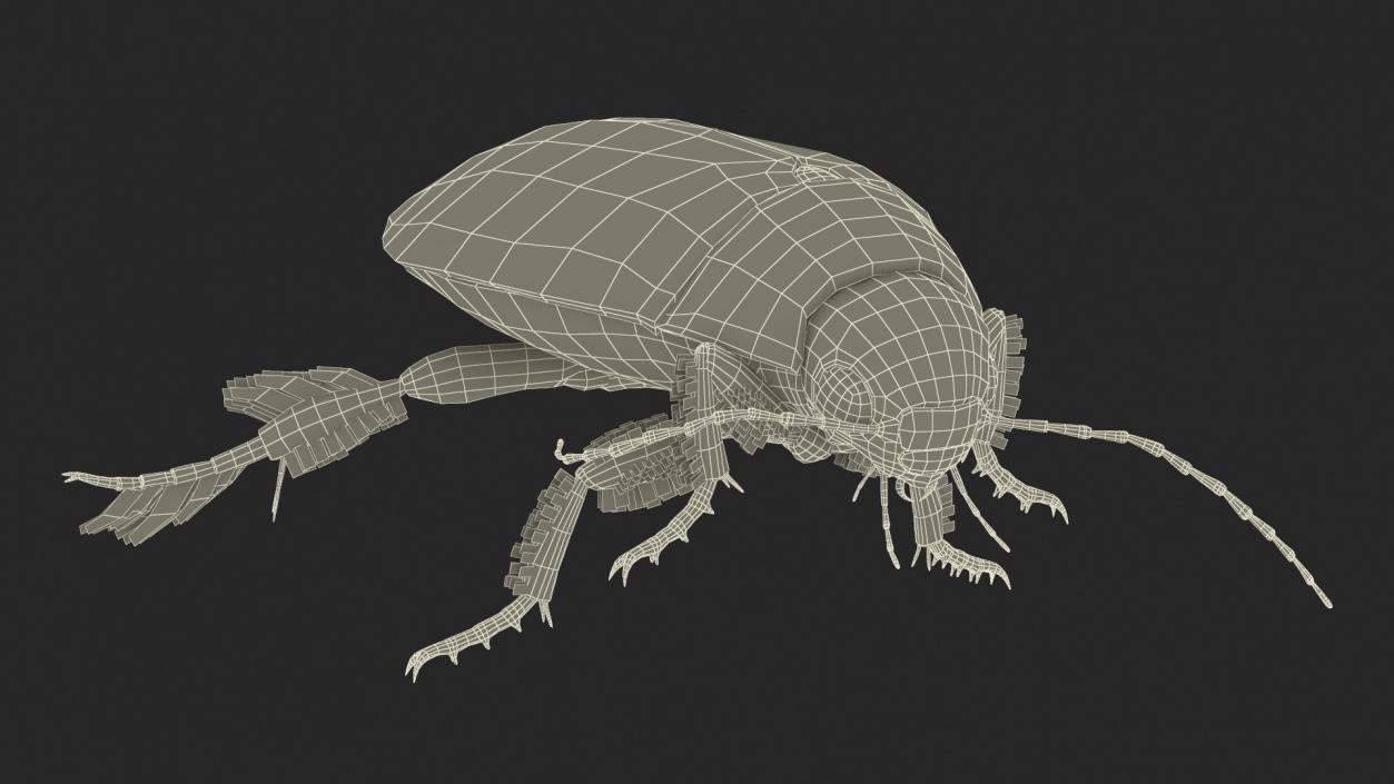 3D model Insects Collection 2