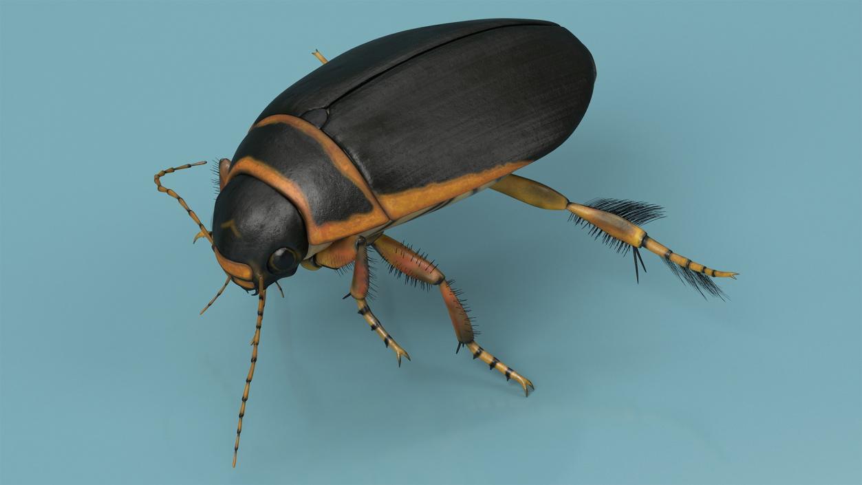 3D model Insects Collection 2