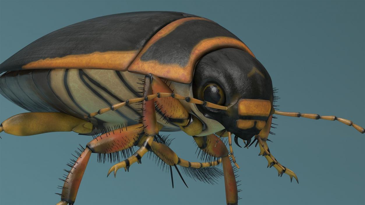 3D model Insects Collection 2