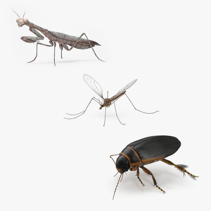 3D model Insects Collection 2