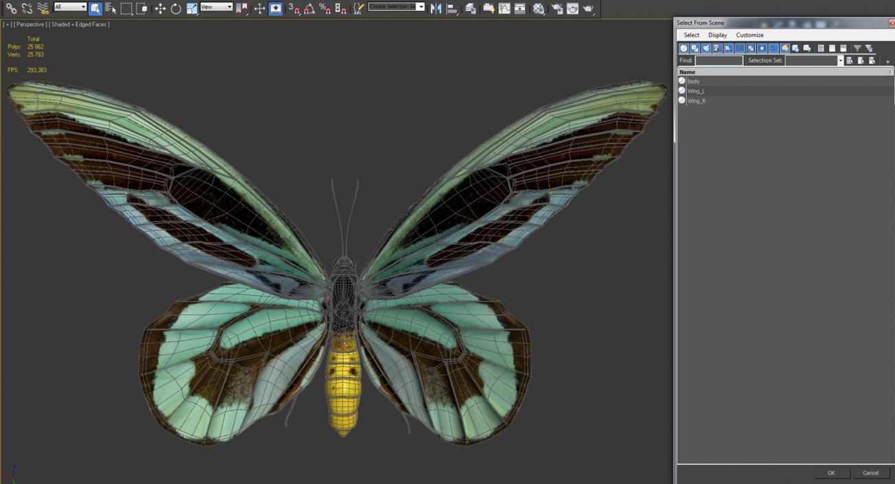 Queen Alexandras Birdwing Flying Pose 3D