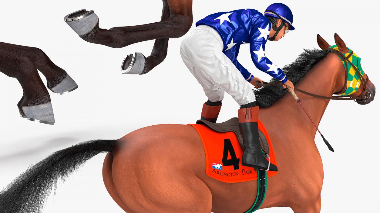 3D Gallop Bay Racing Horse with Jokey Fur model