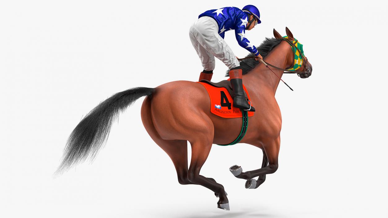 3D Gallop Bay Racing Horse with Jokey Fur model