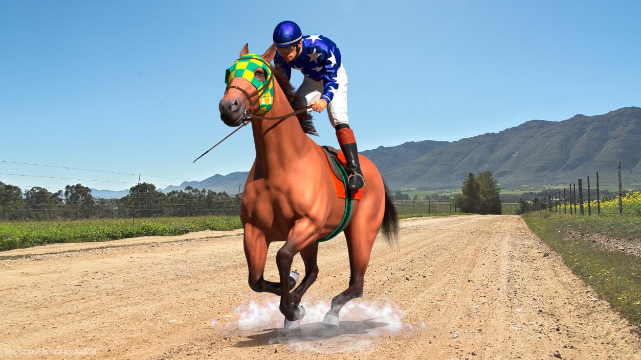 3D Gallop Bay Racing Horse with Jokey Fur model