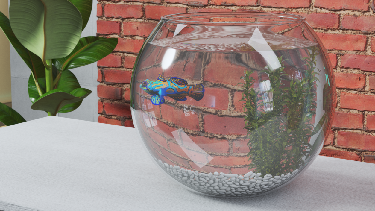 Round Aquarium with Mandarinfish 3D