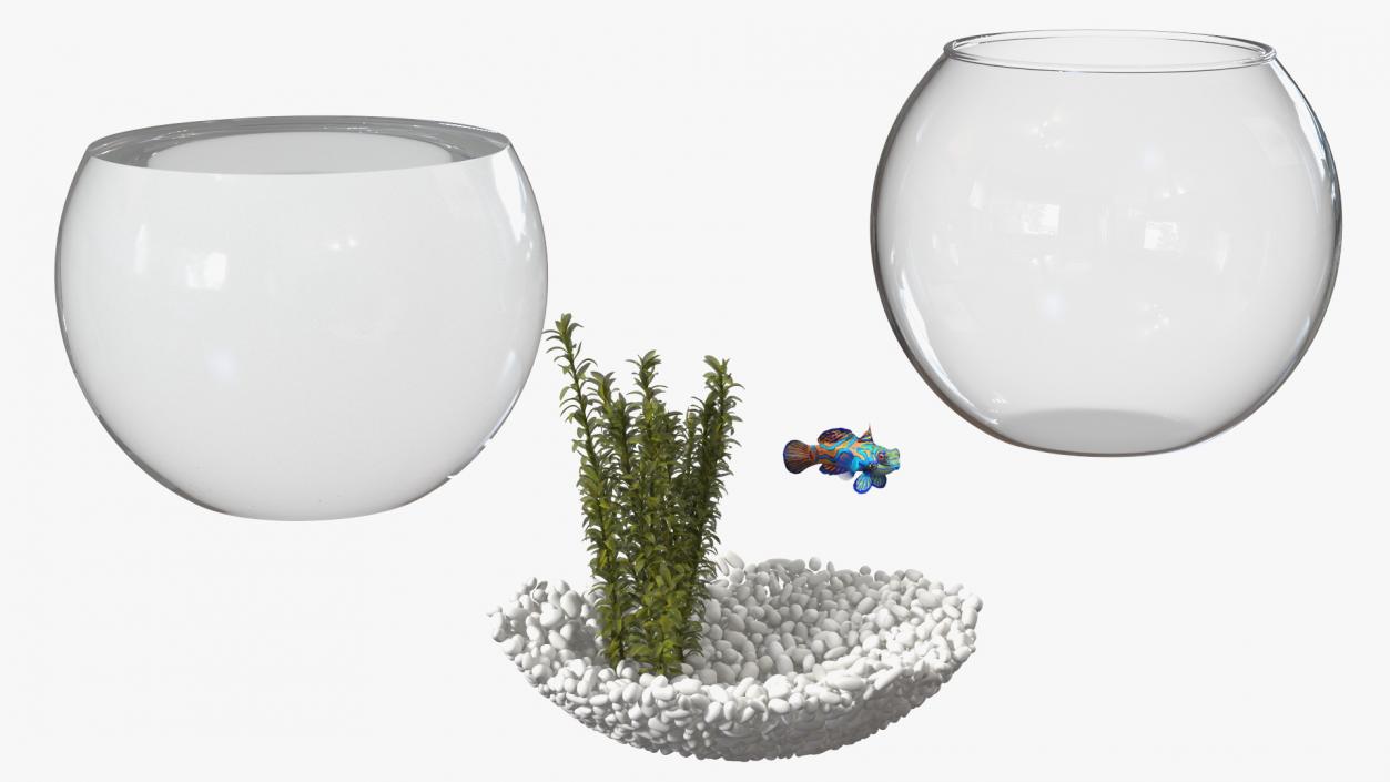 Round Aquarium with Mandarinfish 3D