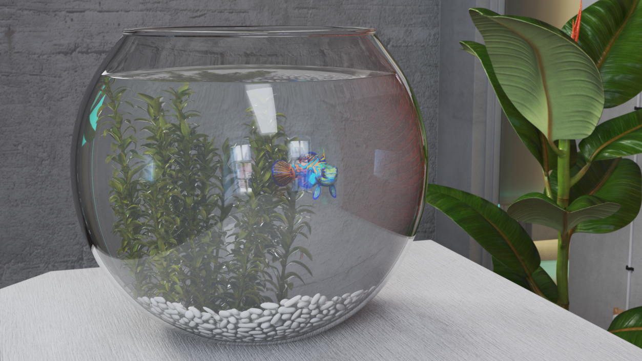 Round Aquarium with Mandarinfish 3D