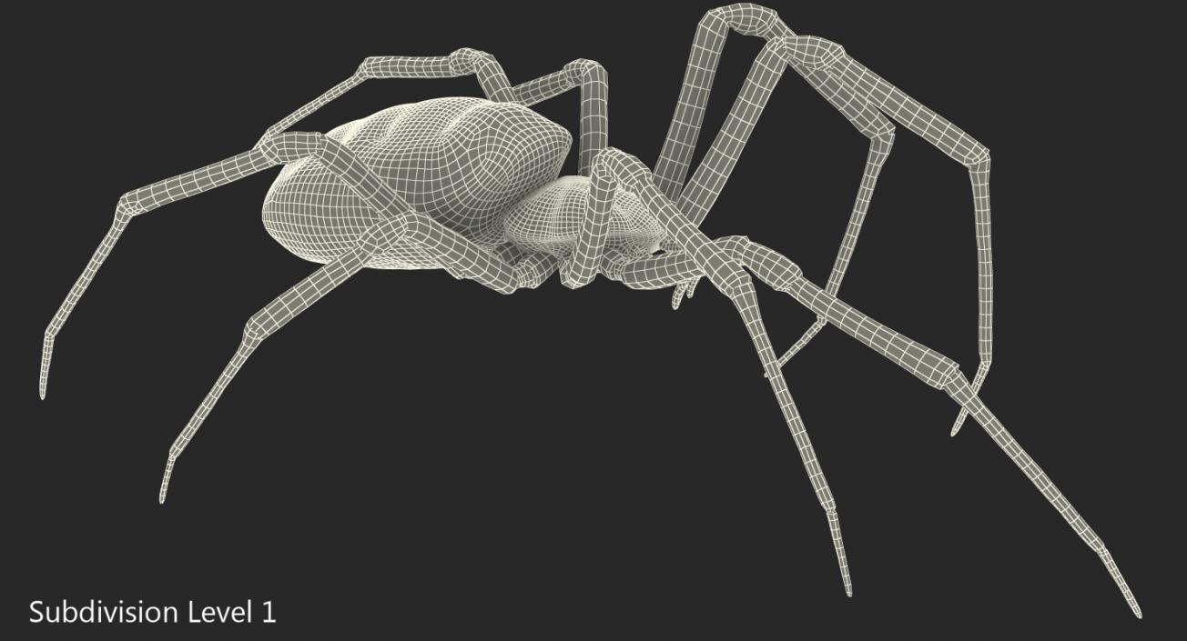 Golden Garden Spider with Fur 3D model