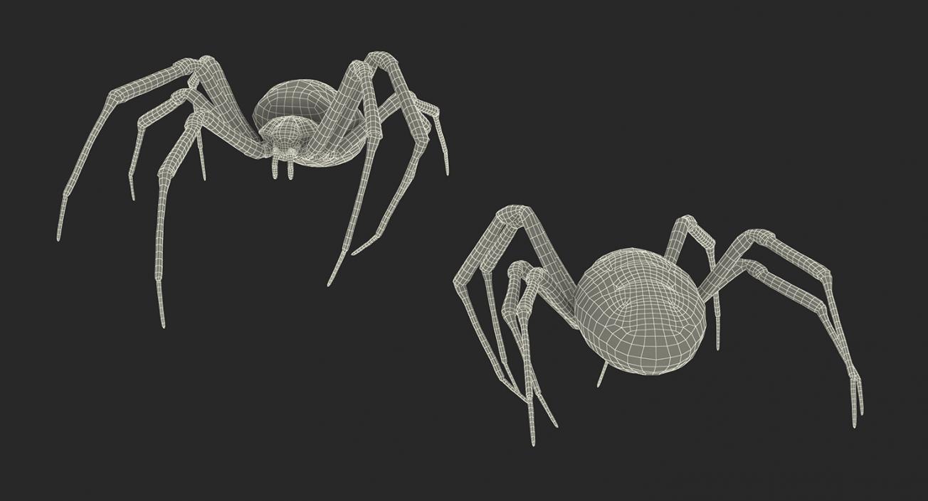 Golden Garden Spider with Fur 3D model