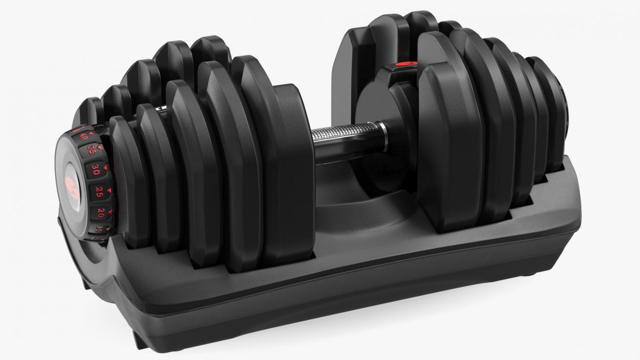 3D model Bowflex Selecttech 1090 Adjustable Dumbbell with Holder