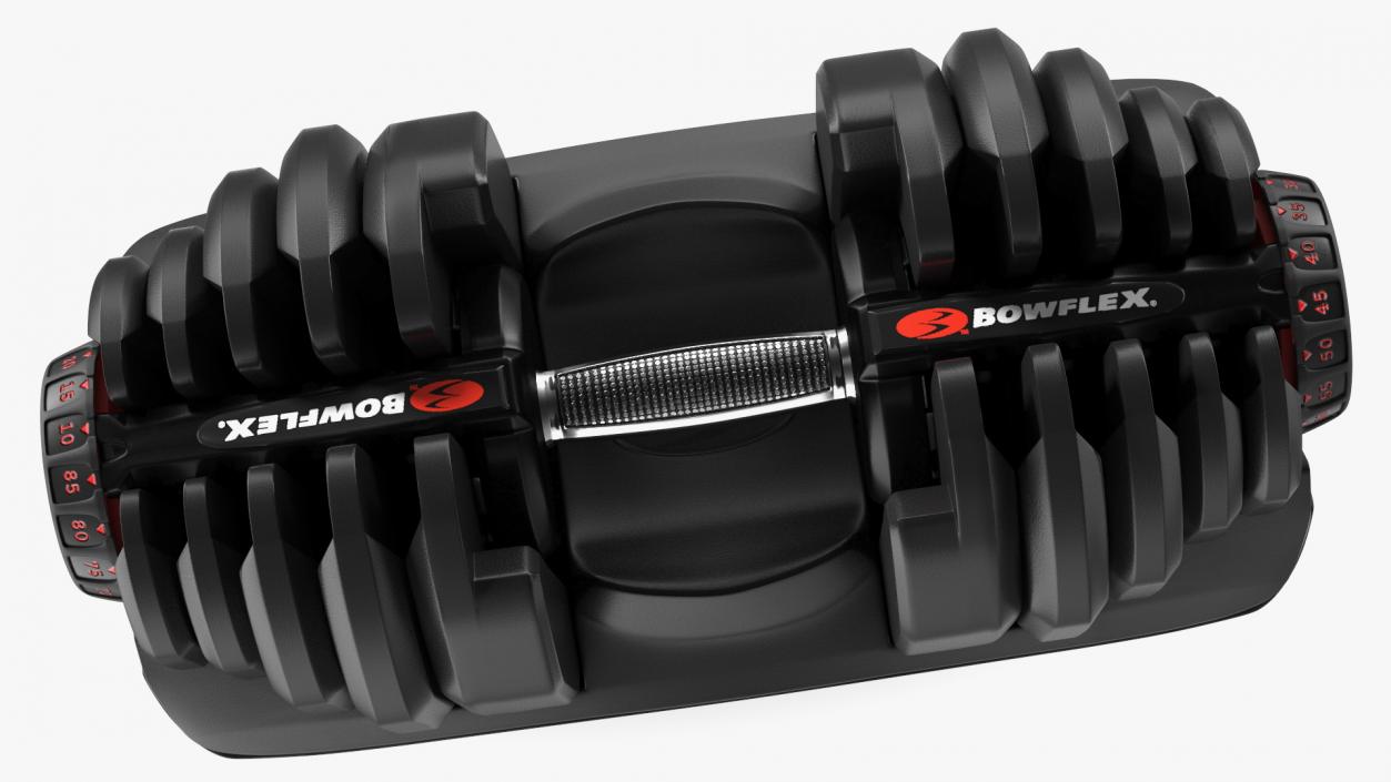 3D model Bowflex Selecttech 1090 Adjustable Dumbbell with Holder