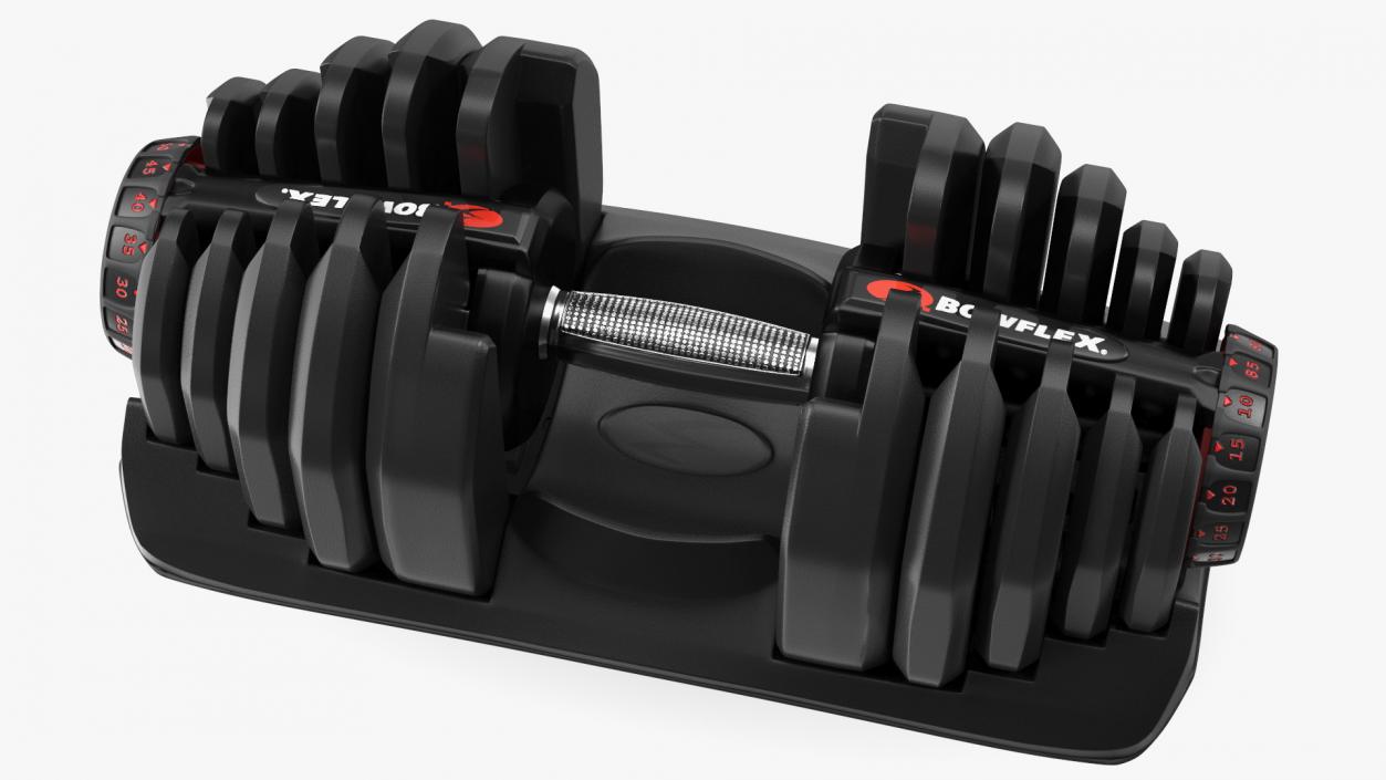 3D model Bowflex Selecttech 1090 Adjustable Dumbbell with Holder