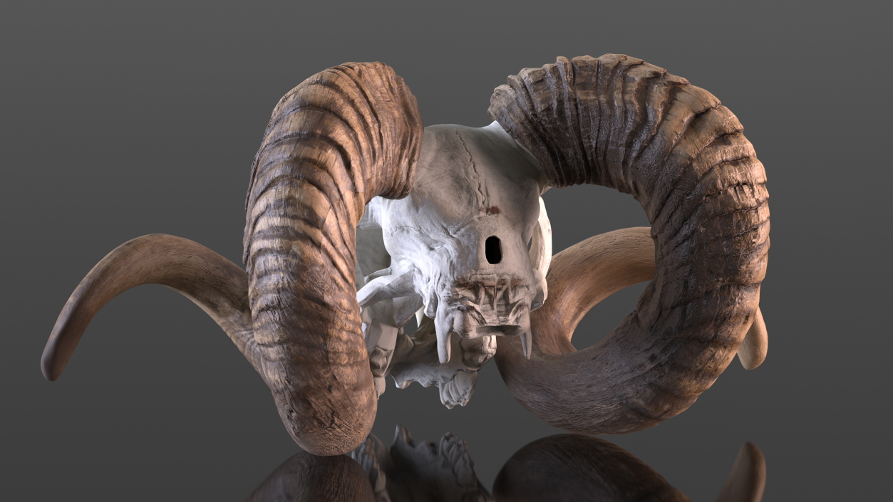 3D model Ram Skull with Dark Horns