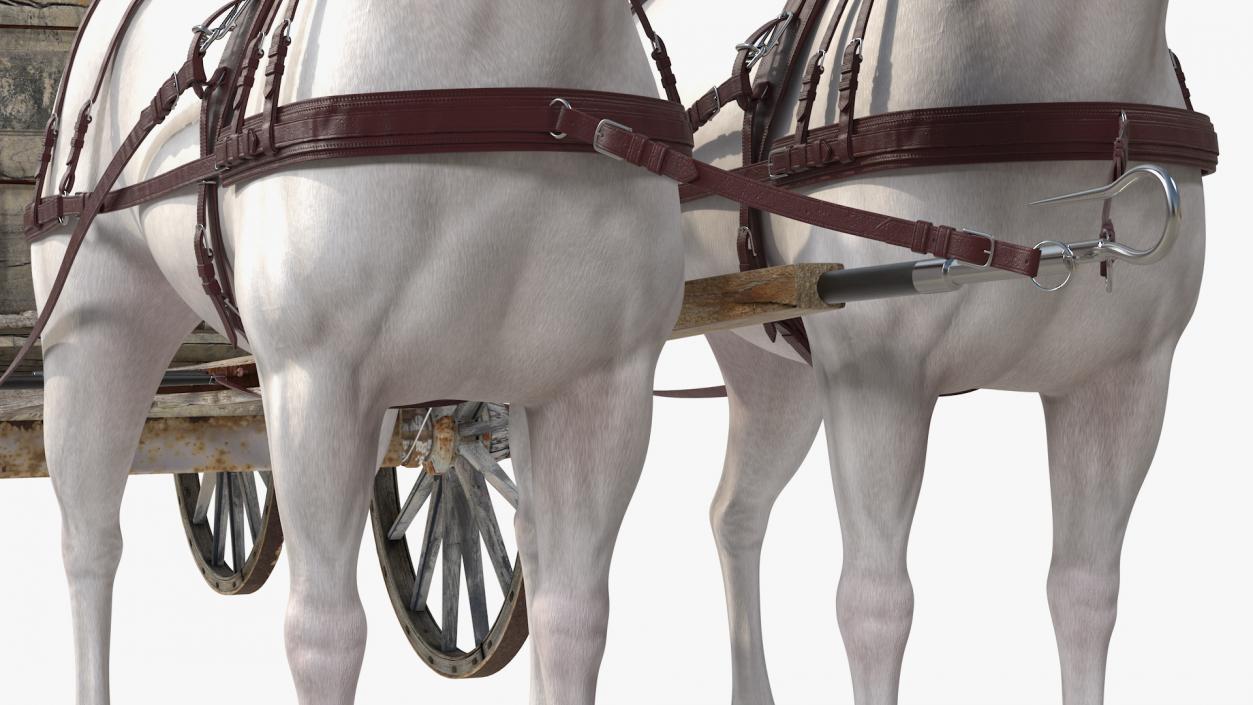 3D Pair Of White Horses with Wagon