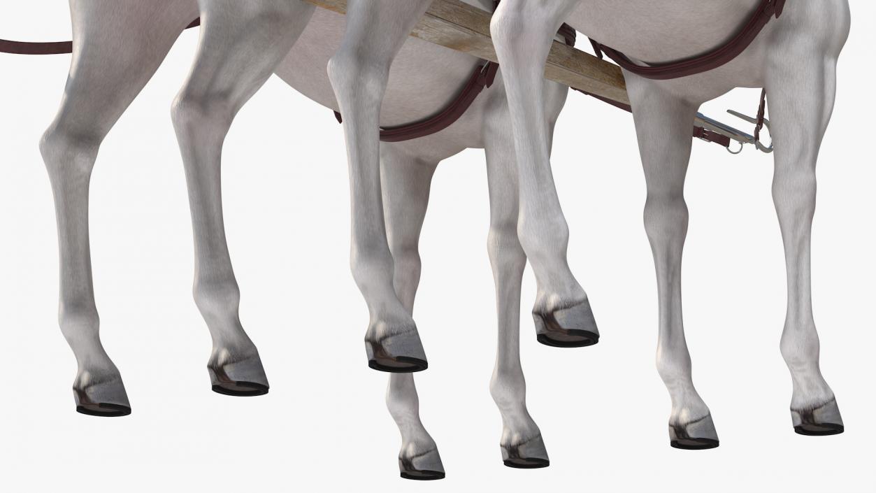 3D Pair Of White Horses with Wagon