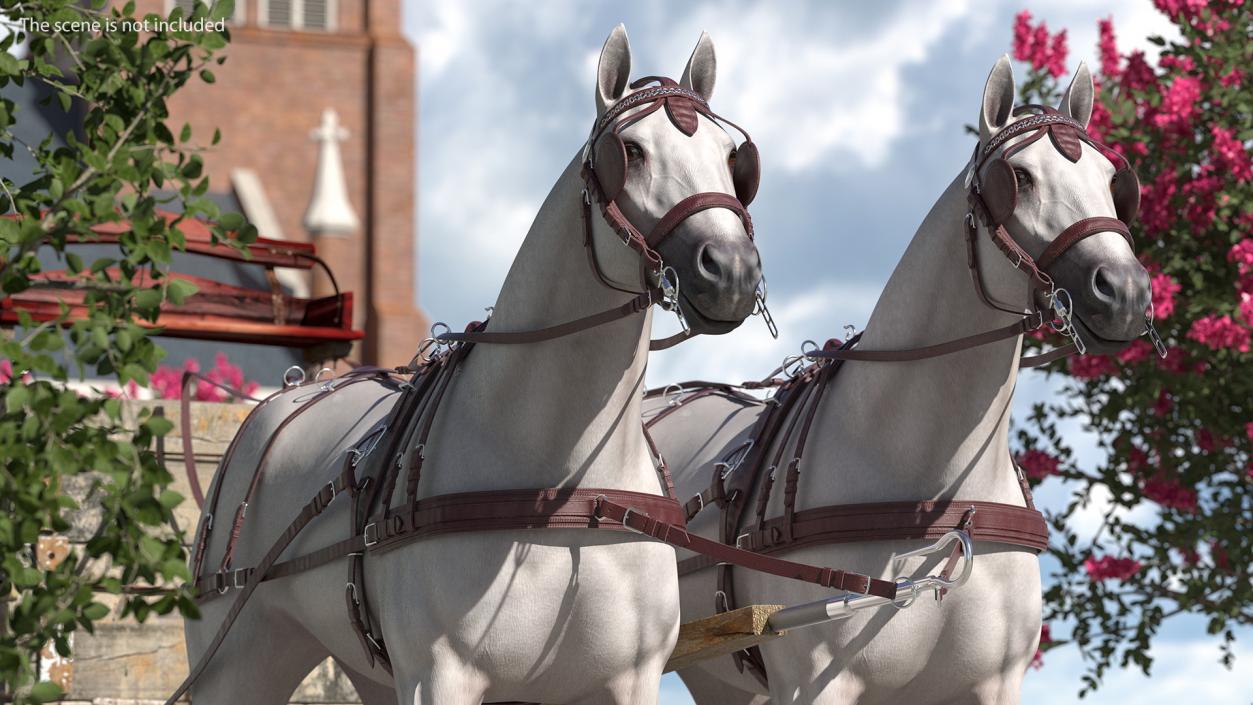 3D Pair Of White Horses with Wagon