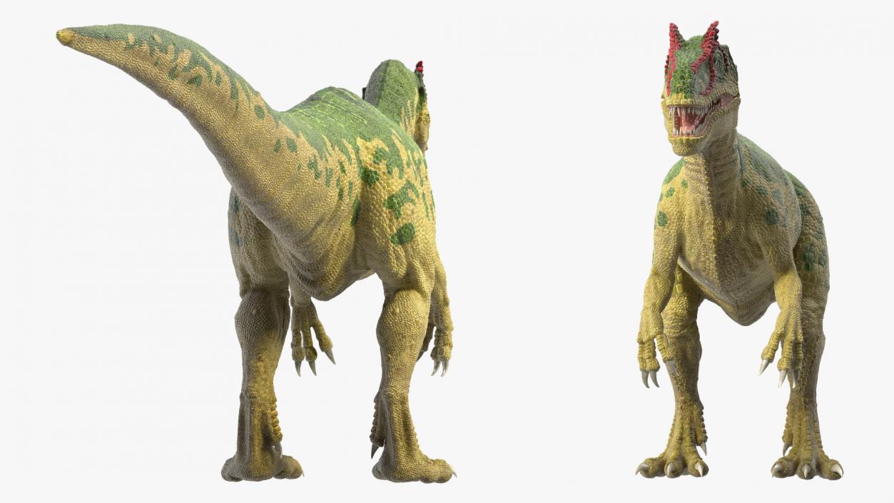 3D model Allosaurus Green Coloring