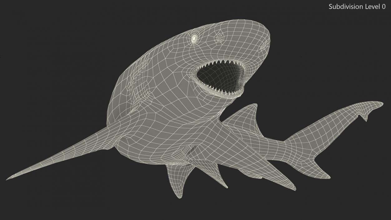 3D Negaprion Brevirostris Shark model