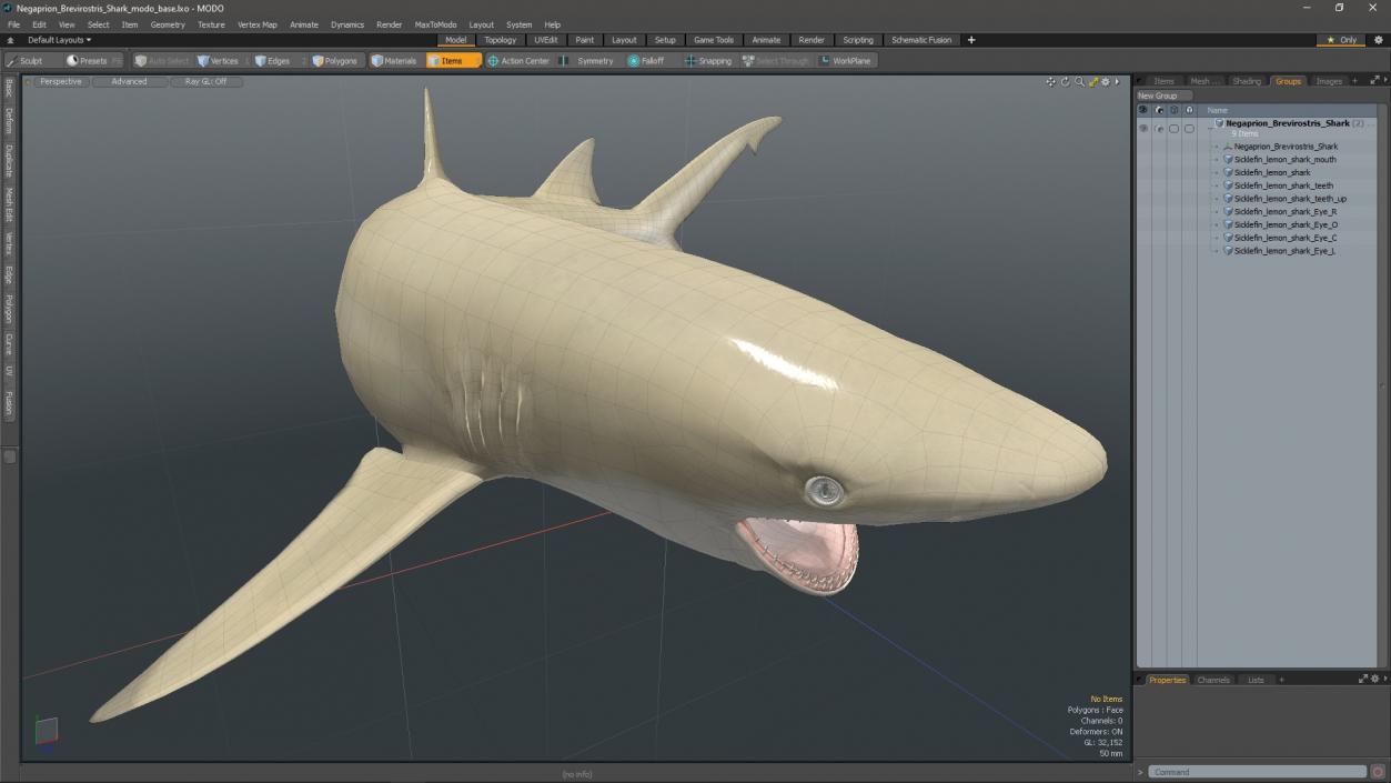 3D Negaprion Brevirostris Shark model