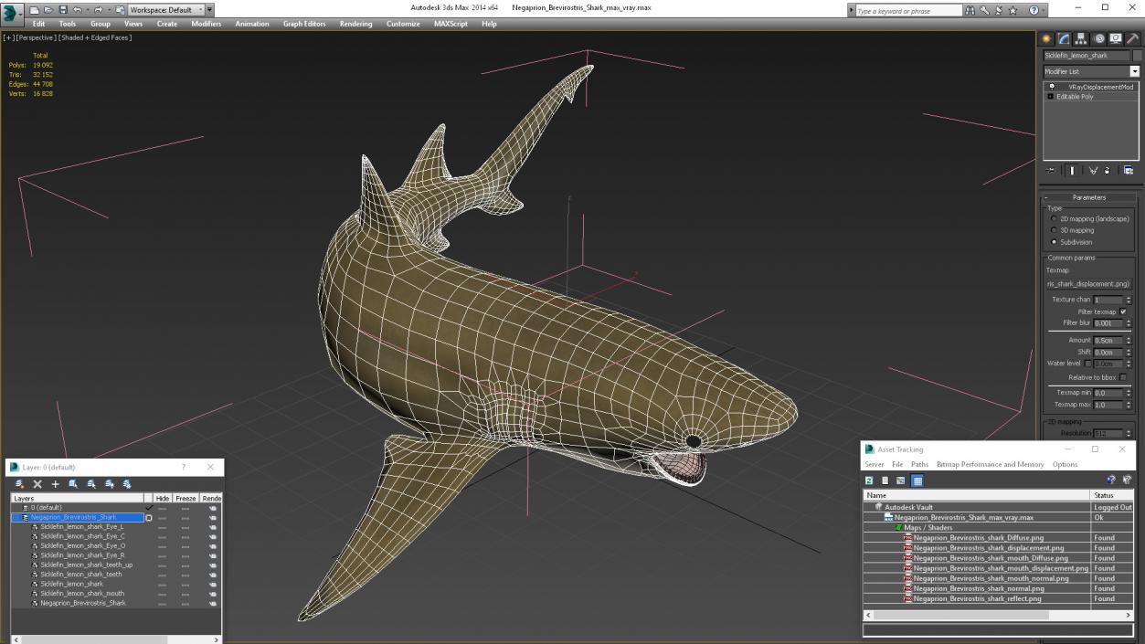 3D Negaprion Brevirostris Shark model