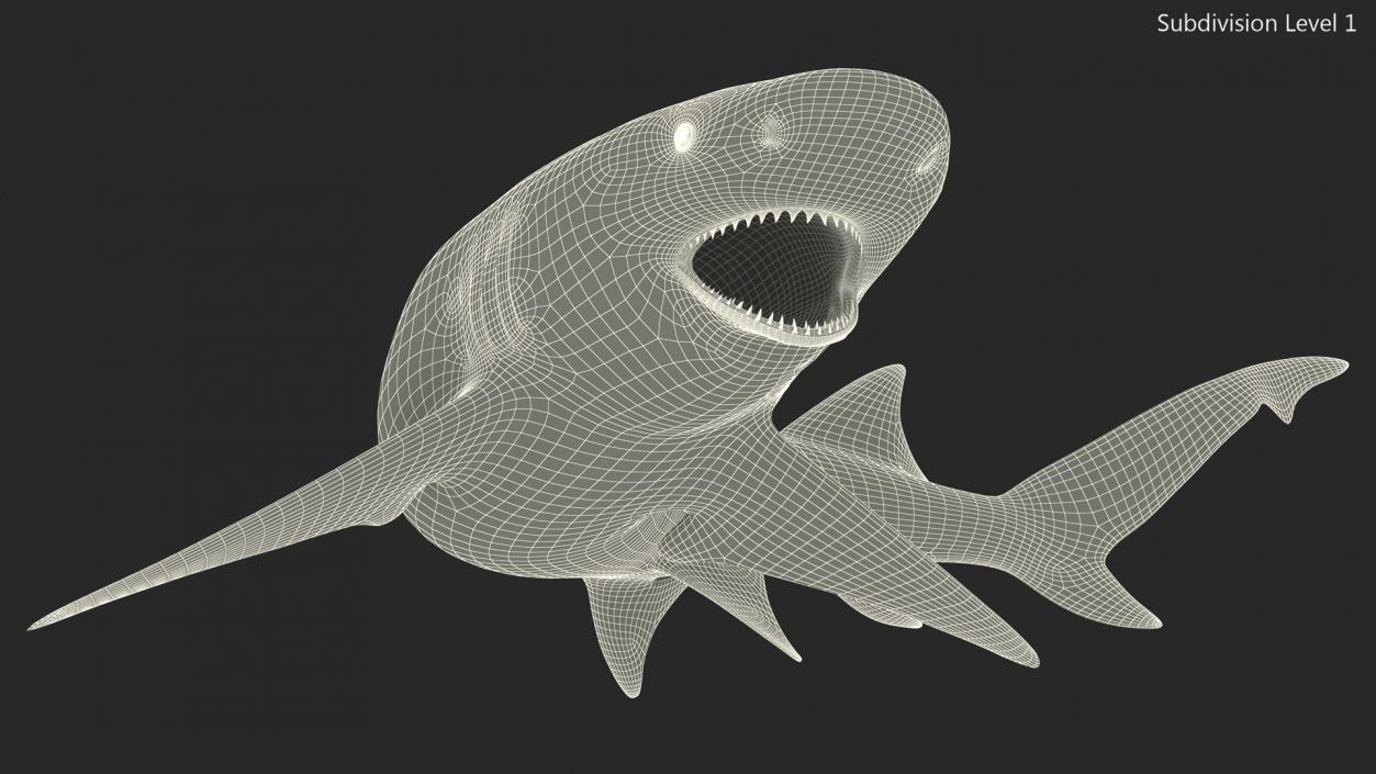 3D Negaprion Brevirostris Shark model