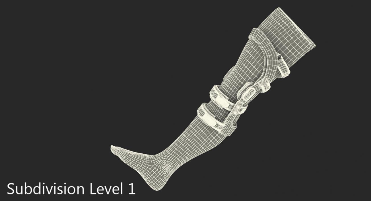 3D Upright Knee Brace model