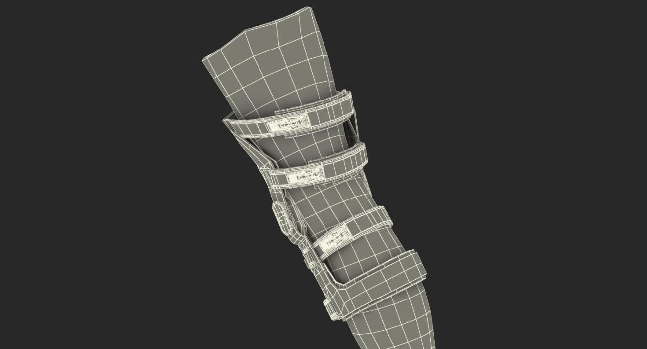 3D Upright Knee Brace model