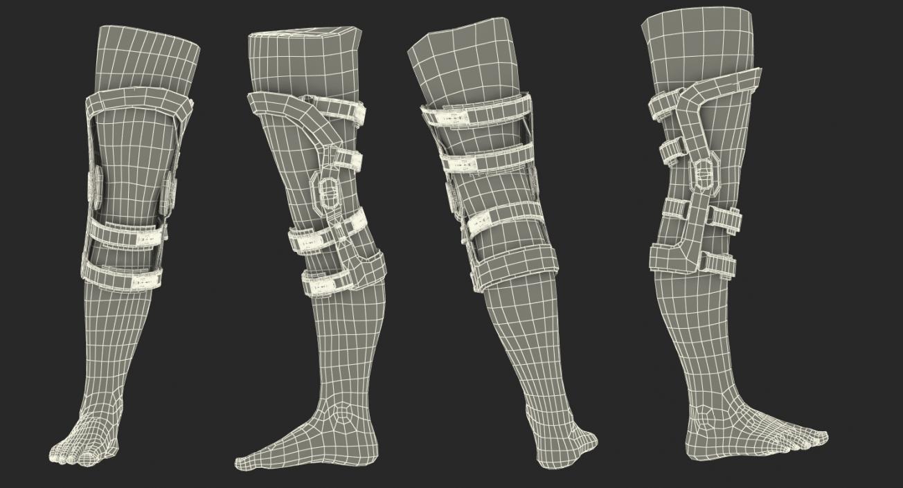 3D Upright Knee Brace model