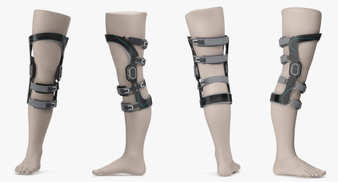 3D Upright Knee Brace model