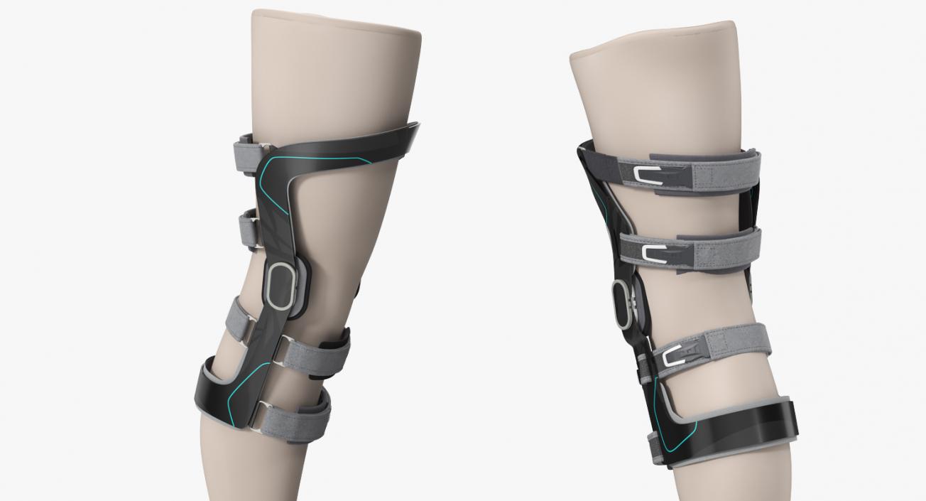 3D Upright Knee Brace model