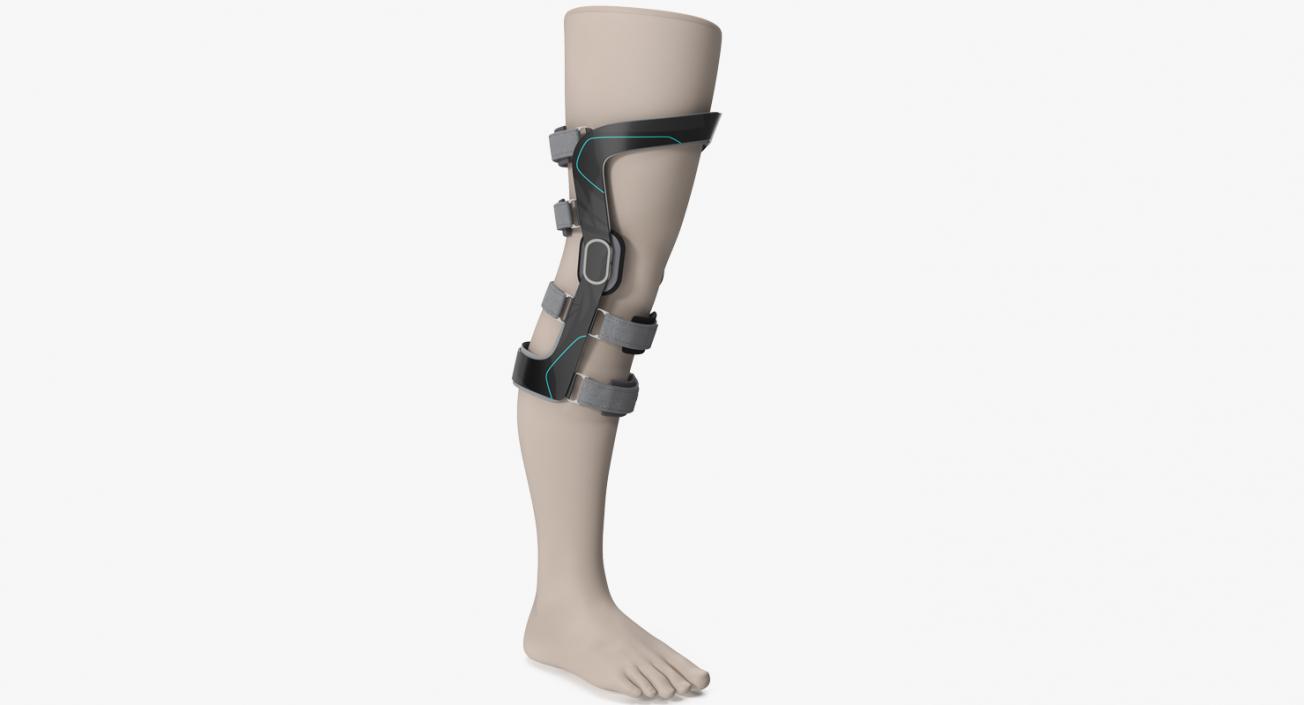 3D Upright Knee Brace model