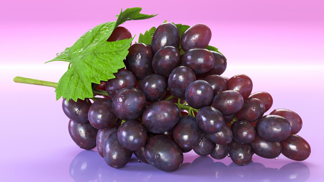 3D model Bunch of Dark Grapes