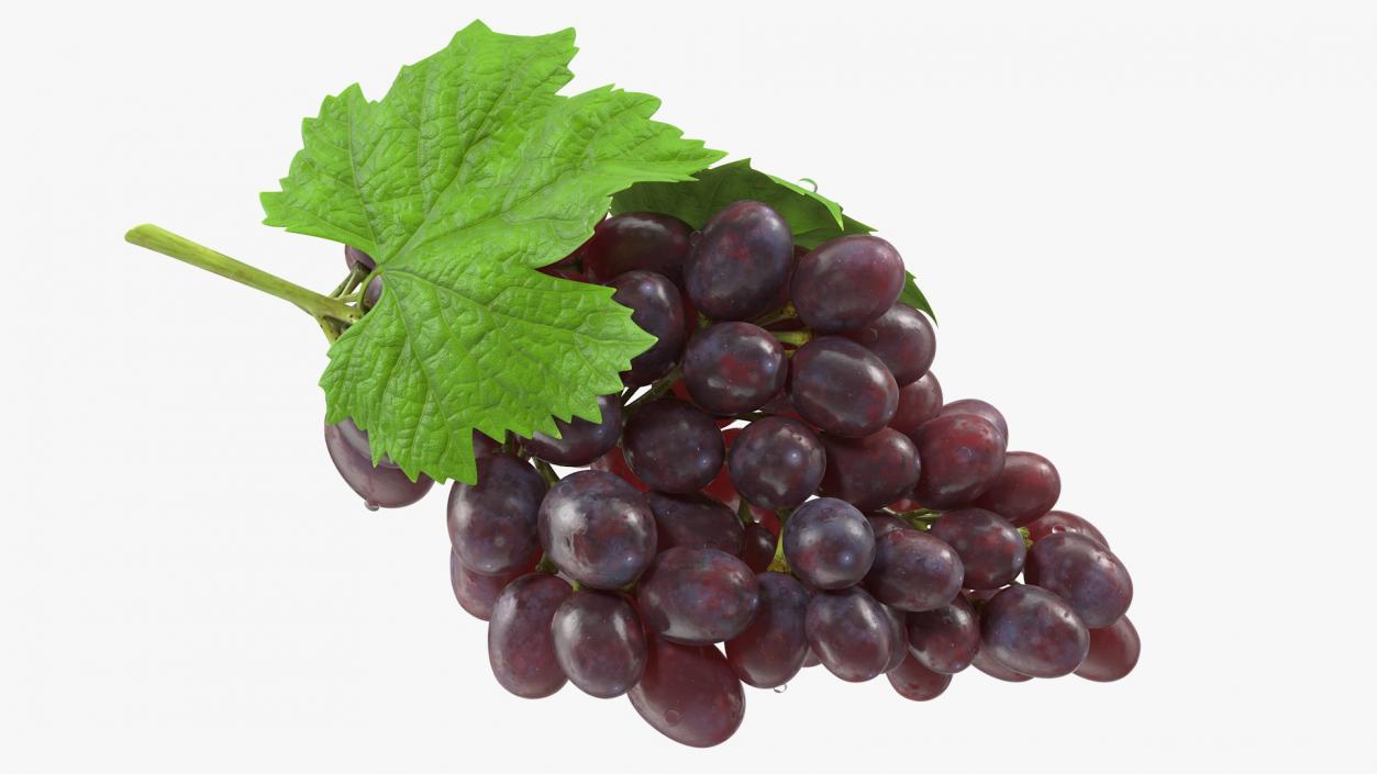 3D model Bunch of Dark Grapes