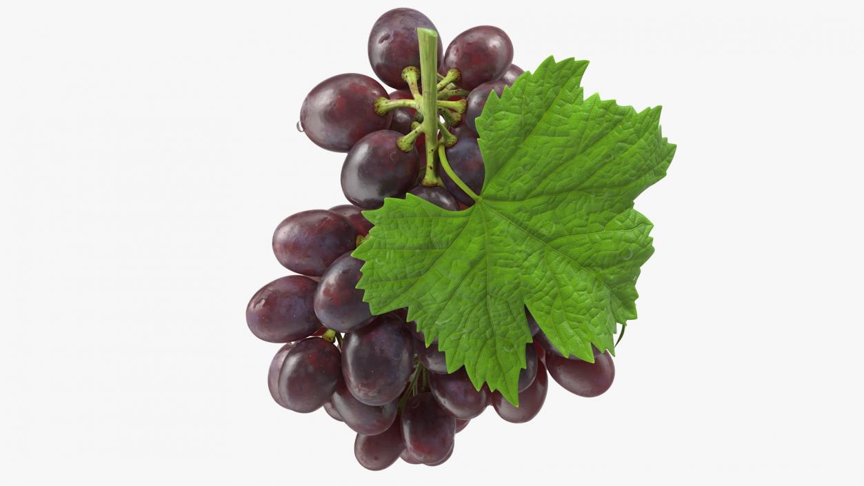 3D model Bunch of Dark Grapes