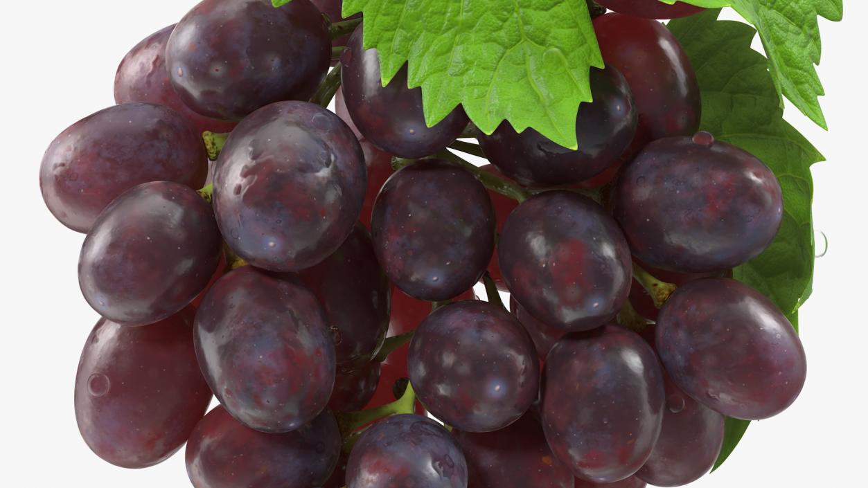 3D model Bunch of Dark Grapes