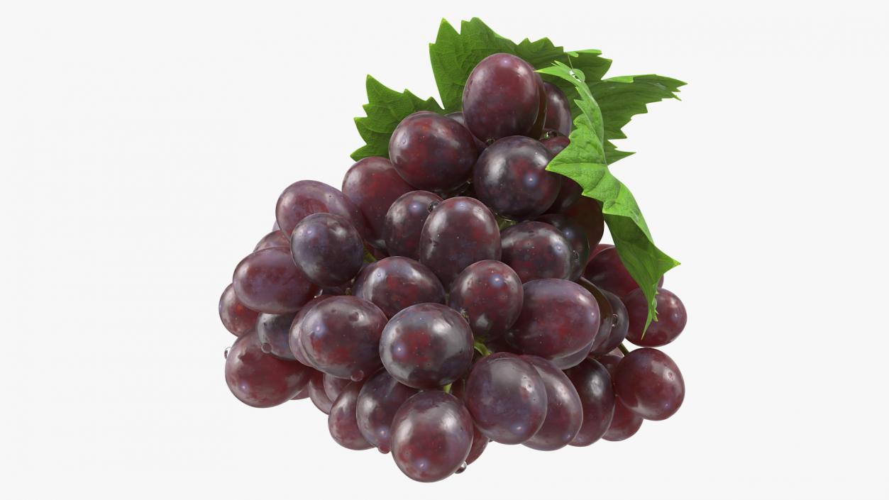 3D model Bunch of Dark Grapes