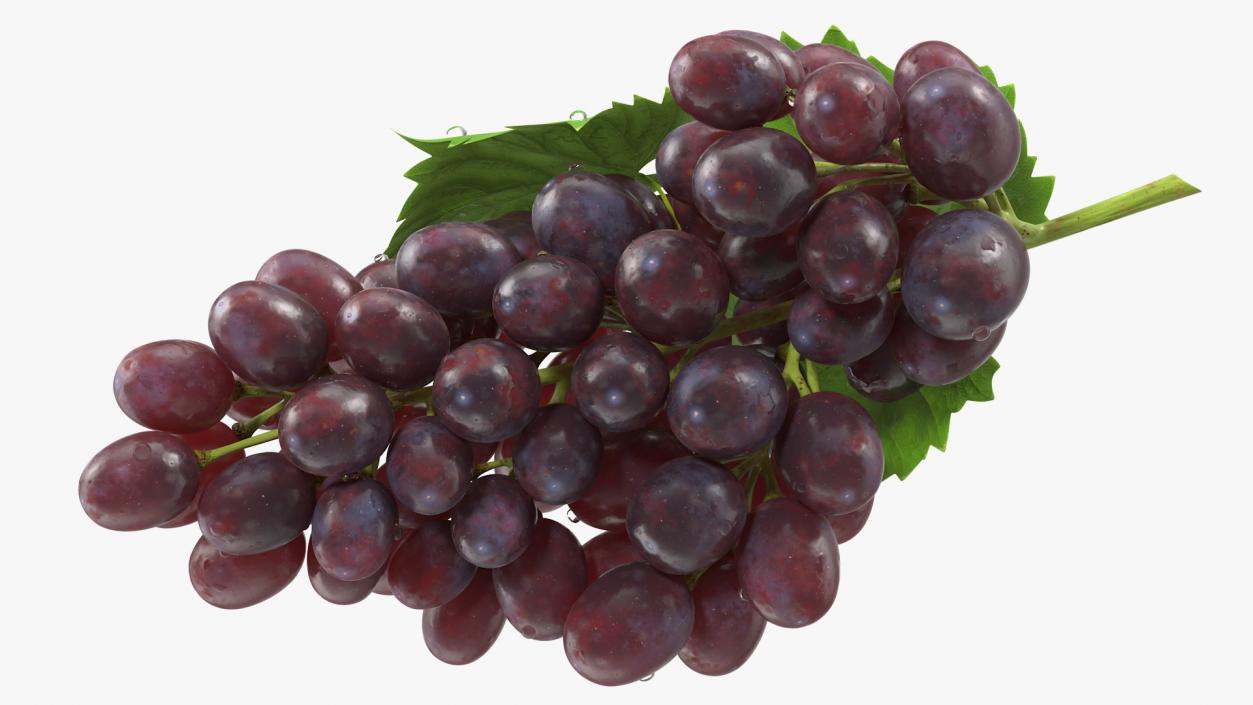 3D model Bunch of Dark Grapes