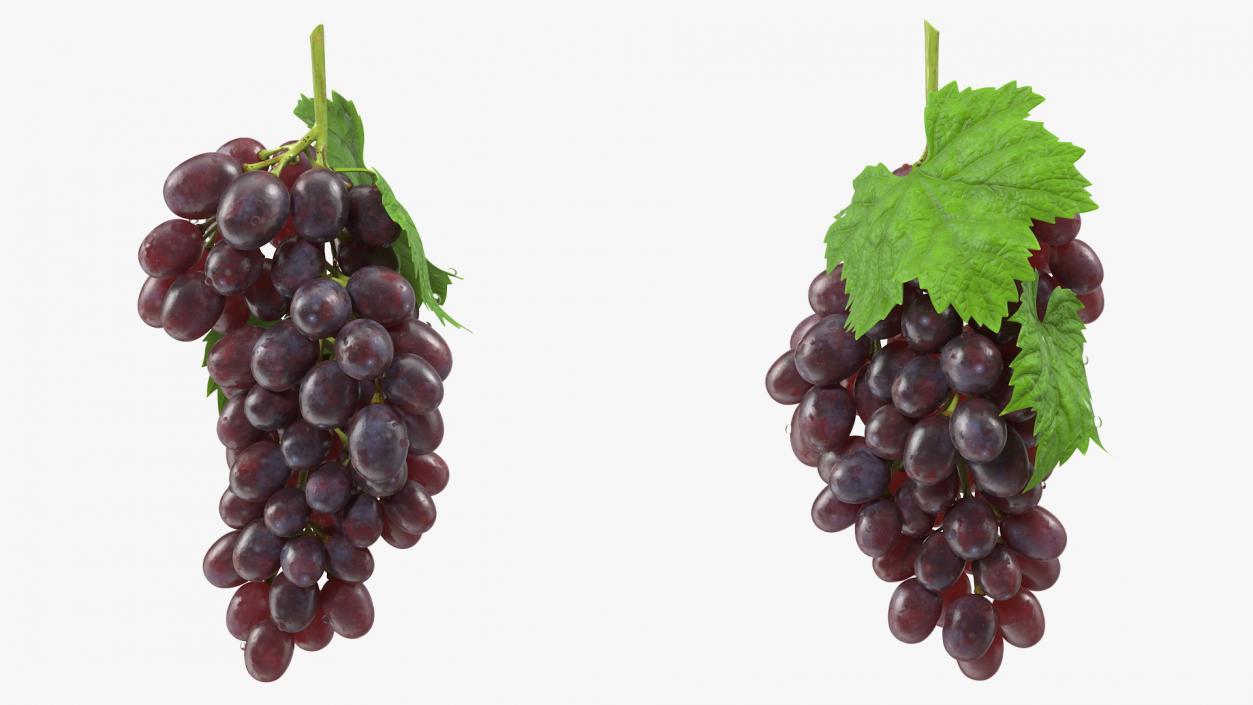 3D model Bunch of Dark Grapes