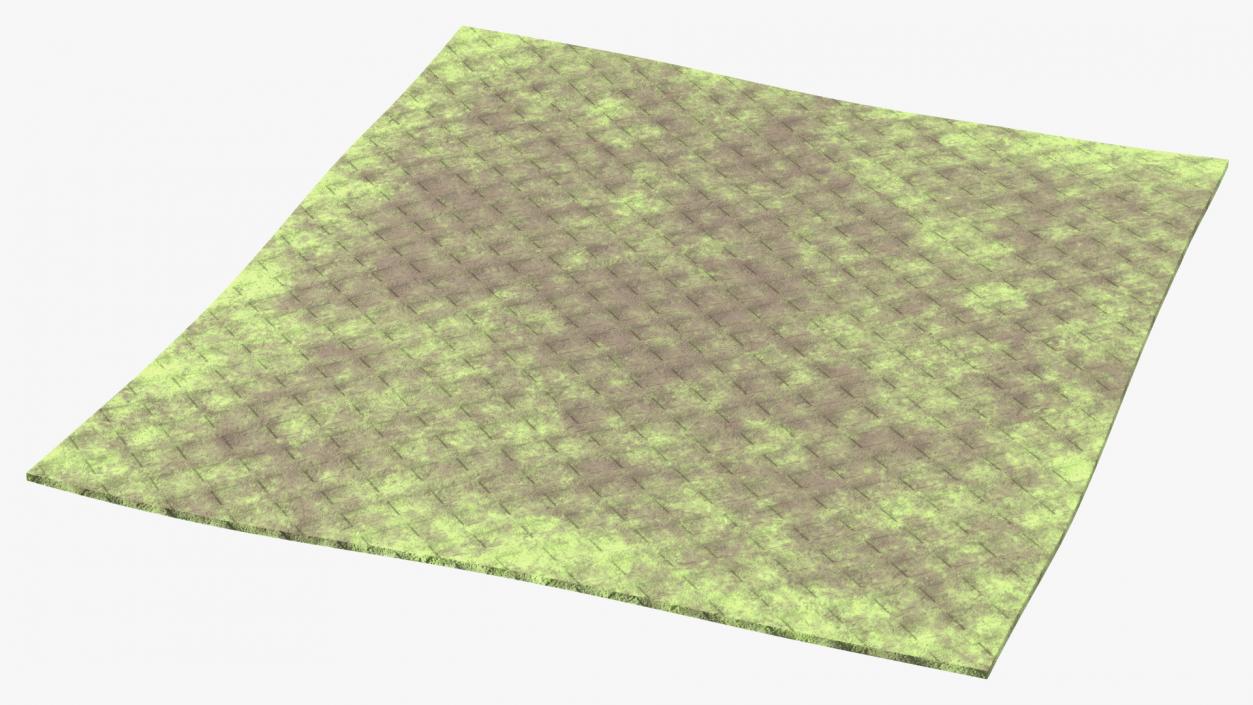 3D Dirty Kitchen Rag Green model