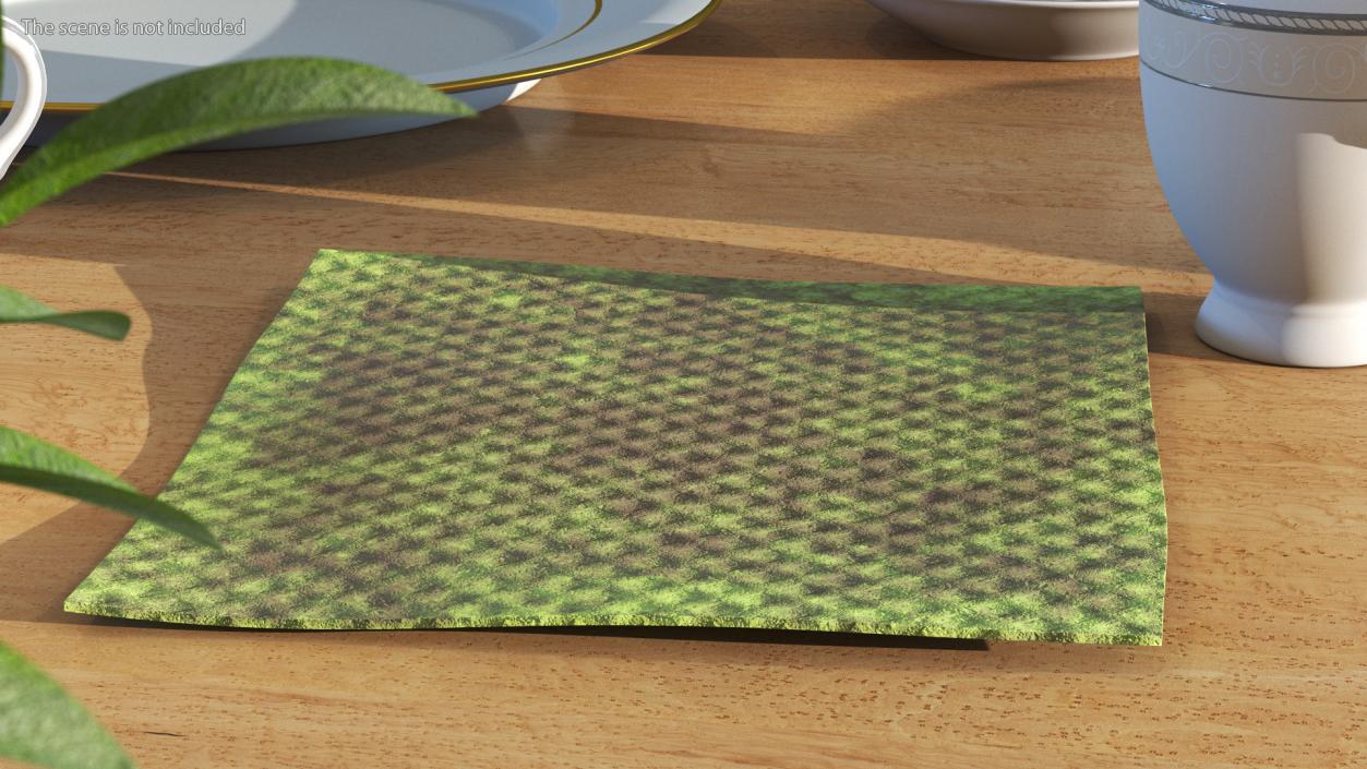 3D Dirty Kitchen Rag Green model