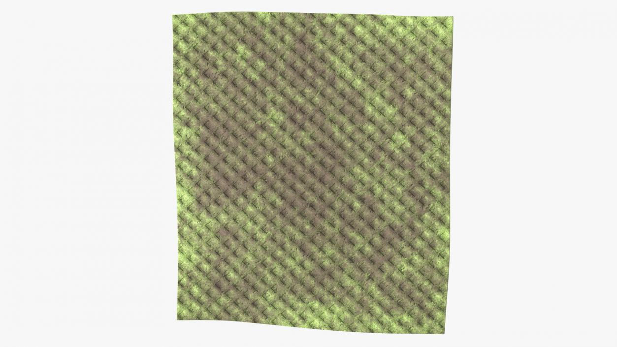 3D Dirty Kitchen Rag Green model