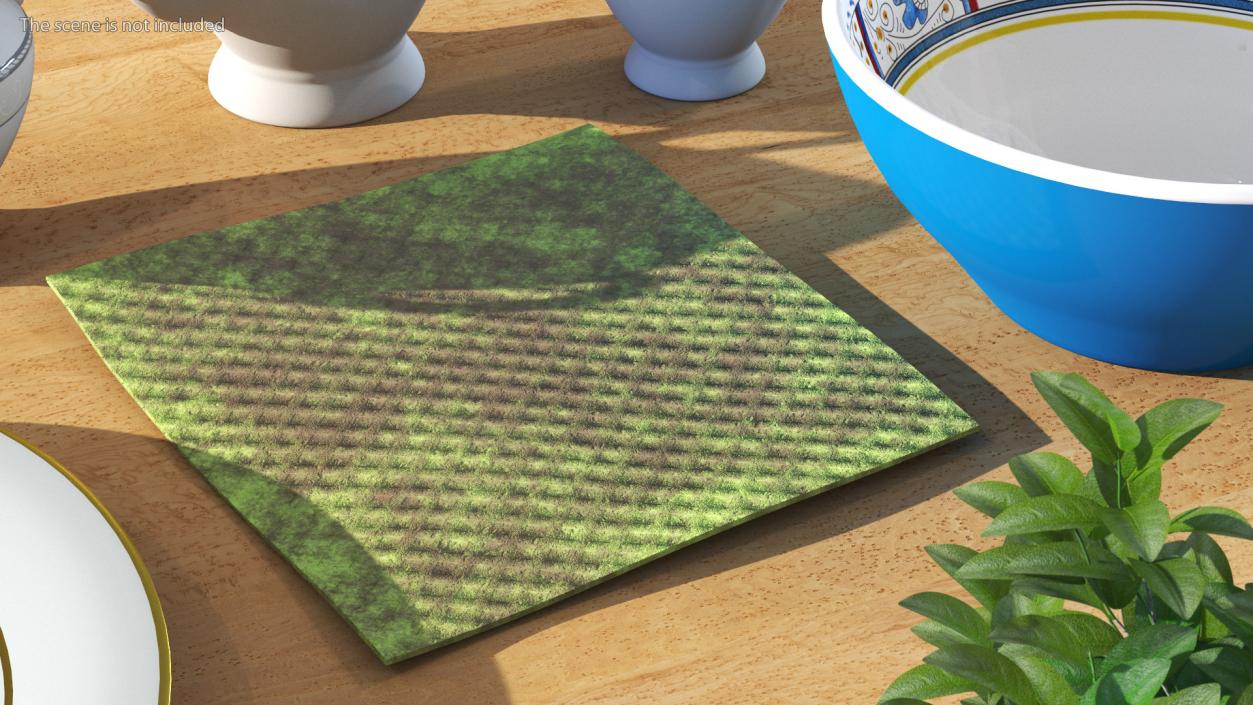 3D Dirty Kitchen Rag Green model