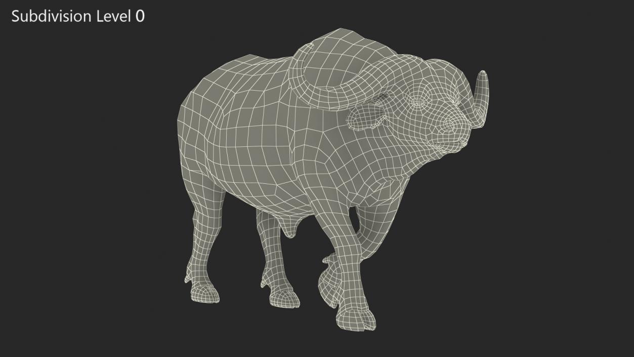 African Buffalo Walking Pose with Fur 3D