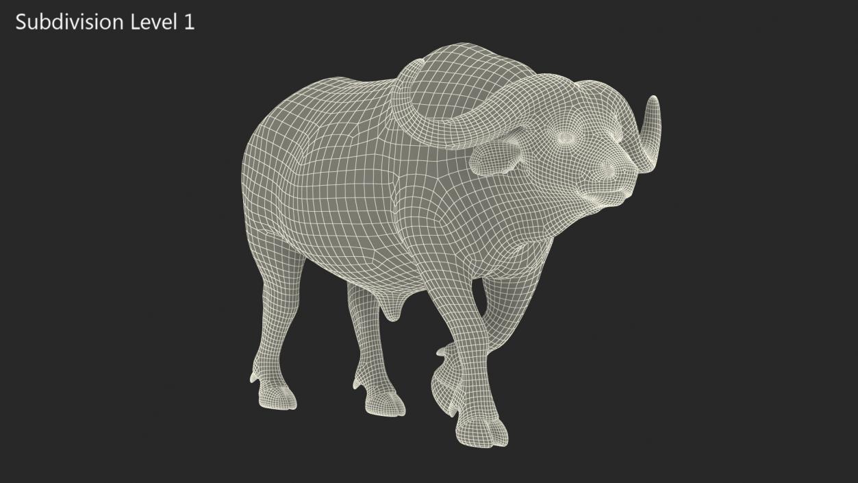 African Buffalo Walking Pose with Fur 3D