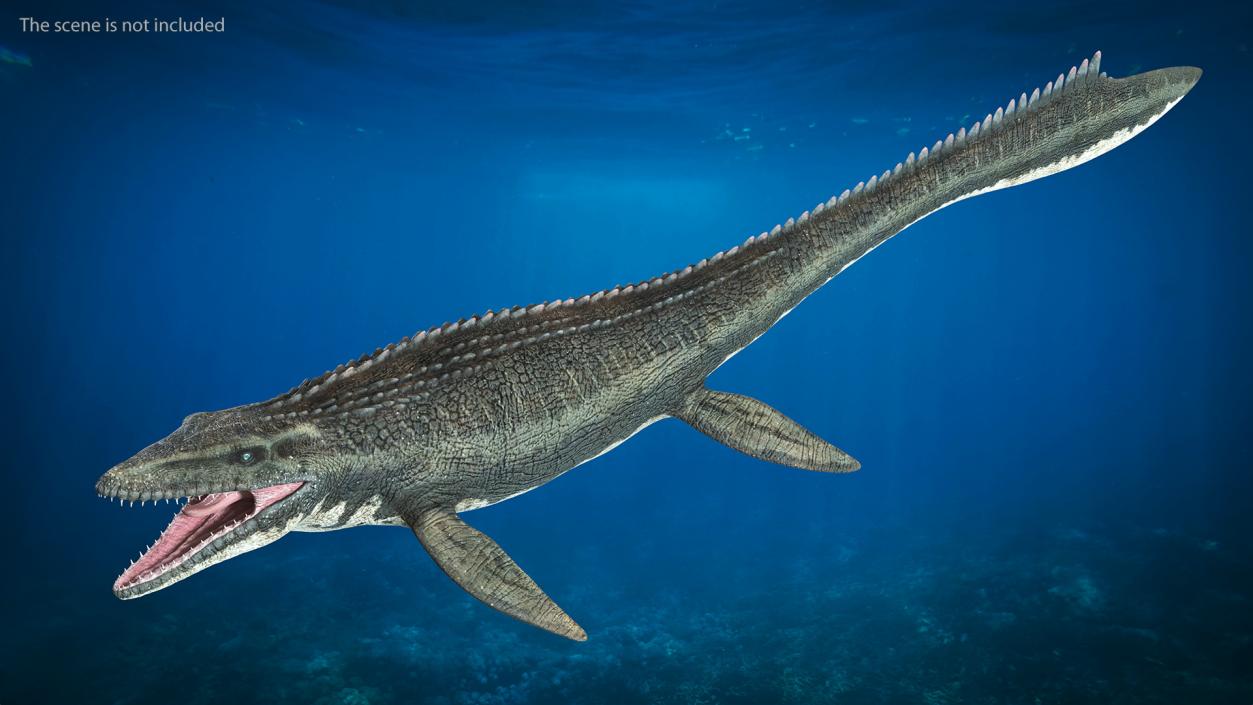 3D model Mosasaurus Idle