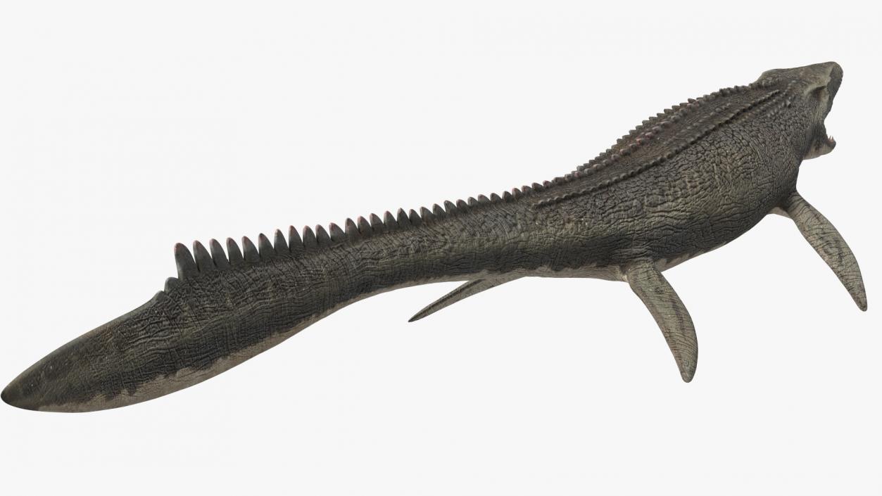 3D model Mosasaurus Idle