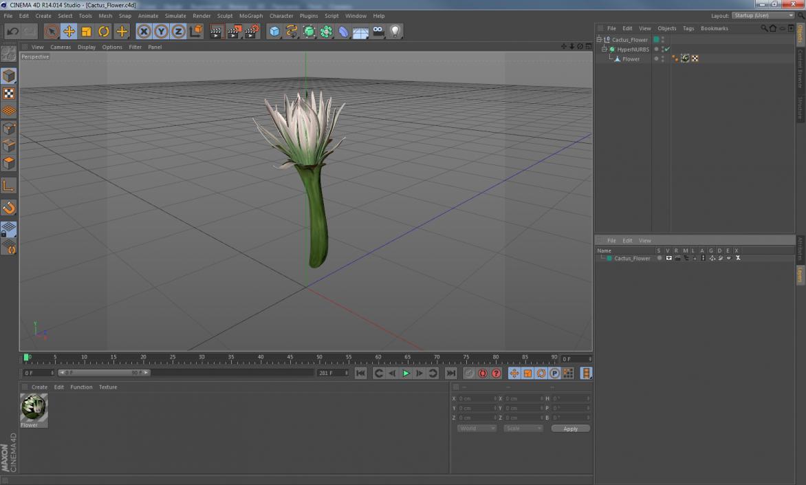 3D Cactus Flower model