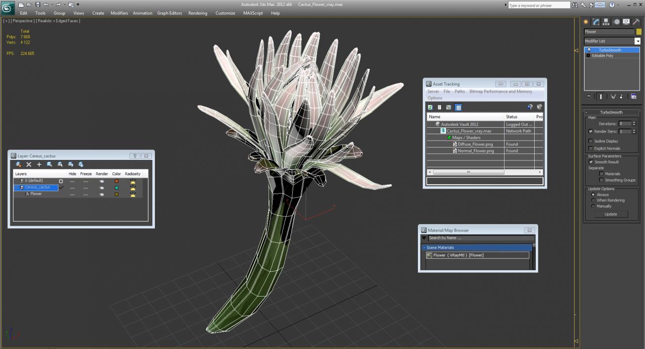 3D Cactus Flower model