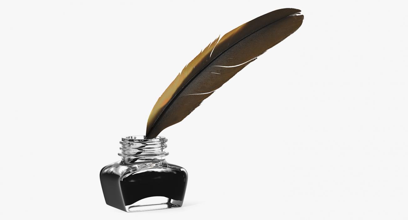 3D Quill Dark Feather Ink Set