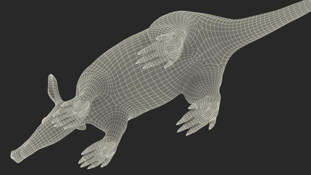 Aardvark Basic Pose 3D model